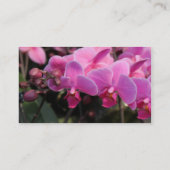 ピンクの蘭の花 名刺 (裏面)