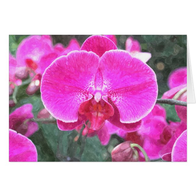 ピンクの蘭の花、花の写真 (正面横)