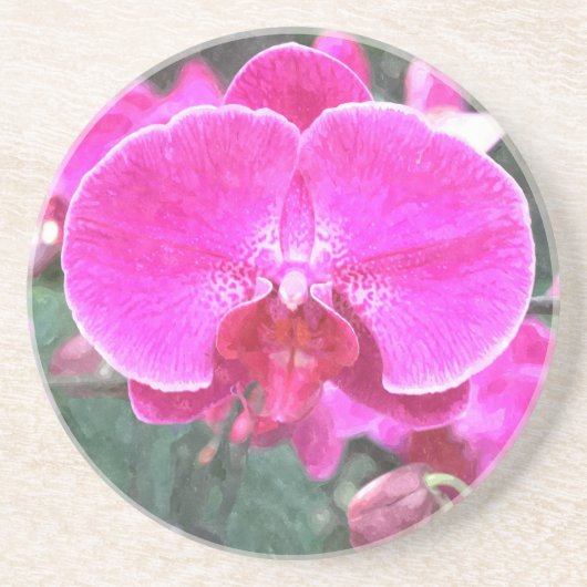 ピンクの蘭の花、花の写真 コースター (正面)