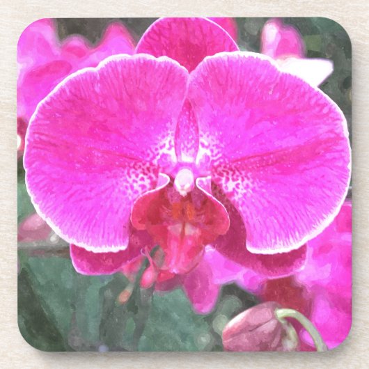 ピンクの蘭の花、花の写真 コースター (正面)
