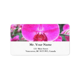 ピンクの蘭の花、花の写真 ラベル