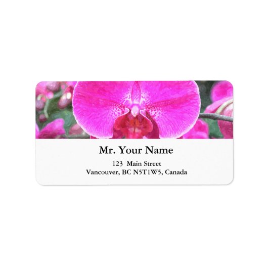 ピンクの蘭の花、花の写真 ラベル (正面)