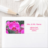 ピンクの蘭の花、花の写真 ラベル (インサイチュ)