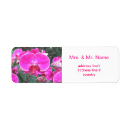 ピンクの蘭の花、花の写真 ラベル