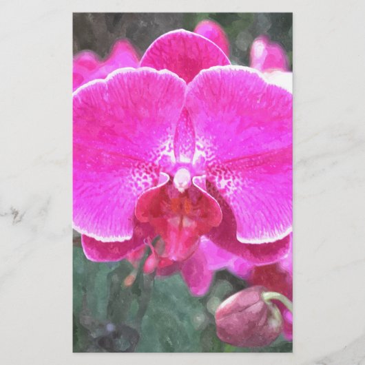 ピンクの蘭の花、花の写真 便箋 (正面)
