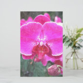 ピンクの蘭の花、花の写真 便箋 (スタンド正面)