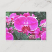 ピンクの蘭の花、花の写真 名刺 (裏面)