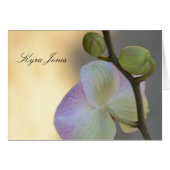 ピンクの蘭の表現の名前の座席表 (正面横)