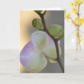 ピンクの蘭の表現カード カード (黄色い花)