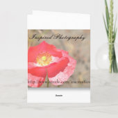 ピンクの蘭の表現 アニバーサリーカード カード (裏面)