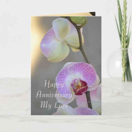 ピンクの蘭の表現 アニバーサリーカード カード (正面)
