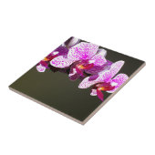 ピンクの蘭ピンクの熱帯の花 タイル (側面)