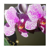 ピンクの蘭1 タイル (正面)