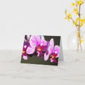 ピンクの蘭 カード (黄色い花)