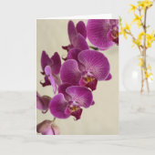 ピンクの蘭 カード (黄色い花)