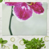 ピンクの蘭 キッチンタオル (折り畳み)