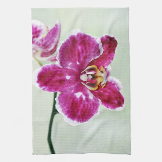 ピンクの蘭 キッチンタオル (縦)