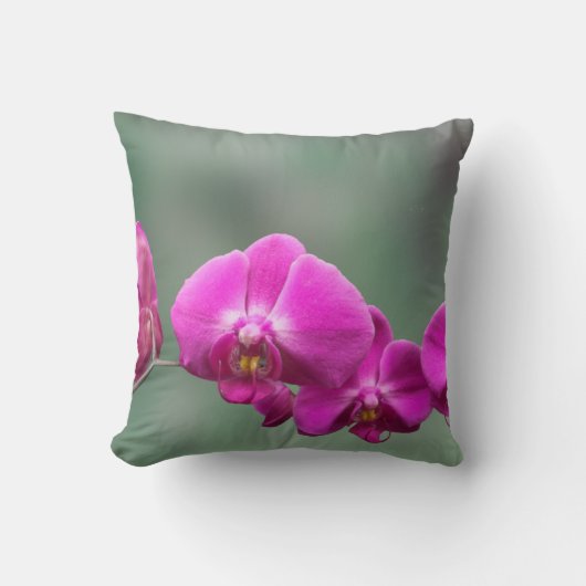 ピンクの蘭 クッション (正面)