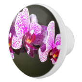 ピンクの蘭 セラミックノブ (右)