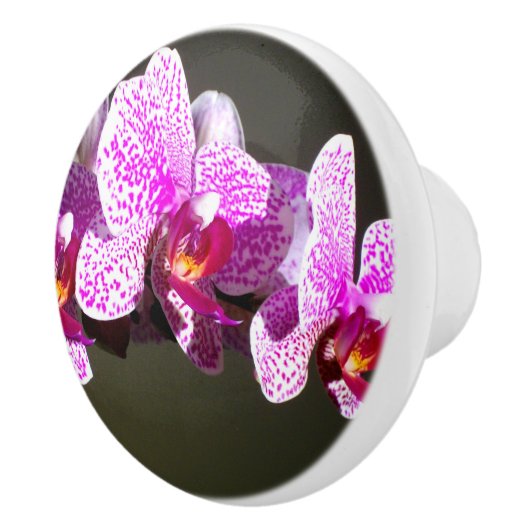 ピンクの蘭 セラミックノブ (右)