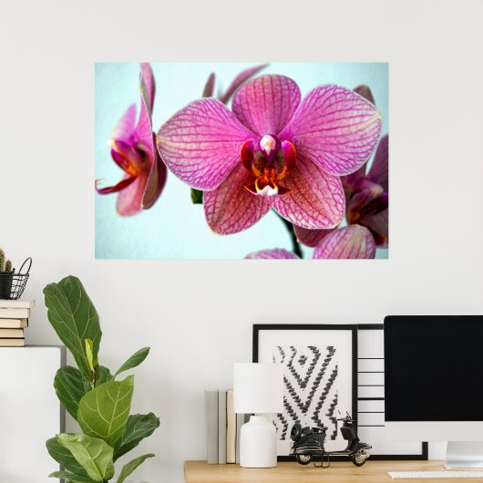 ピンクの蘭 ポスター (ホームオフィス)