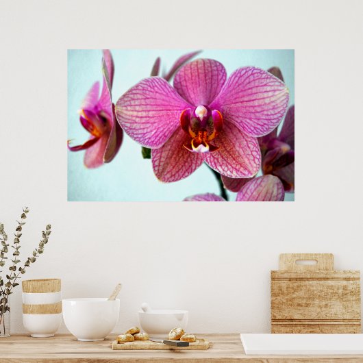 ピンクの蘭 ポスター (キッチン)