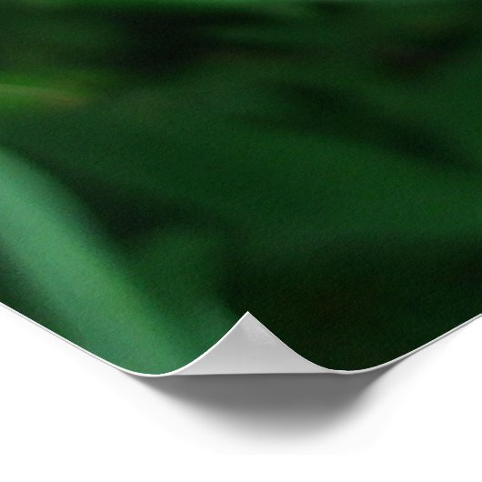 ピンクの蘭 ポスター (角)