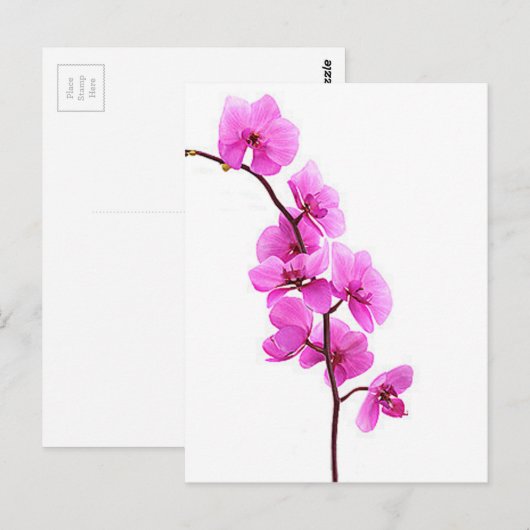 「ピンクの蘭」 ポストカード (正面/裏面)