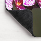 ピンクの蘭 マウスパッド (コーナー)