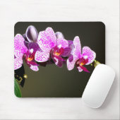 ピンクの蘭 マウスパッド (マウス)