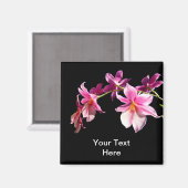 ピンクの蘭。 マグネット (正面/裏面)