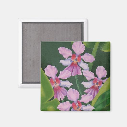 ピンクの蘭 マグネット (正面/裏面)