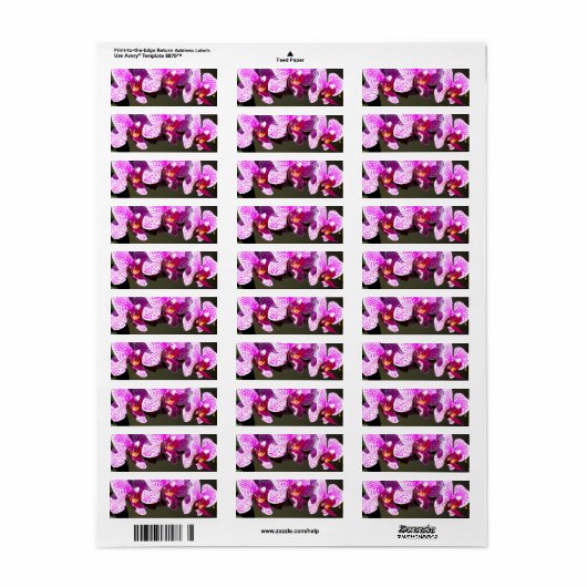 ピンクの蘭 ラベル (フルシート)