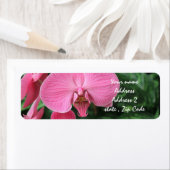 ピンクの蘭 ラベル (インサイチュ)