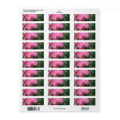 ピンクの蘭 ラベル (フルシート)