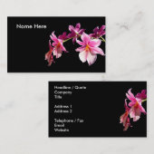 ピンクの蘭 名刺 (正面/裏面)