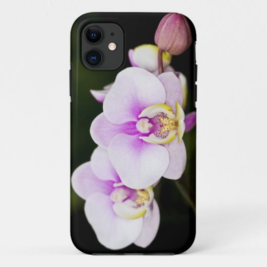 ピンクの蘭 Case-Mate iPhoneケース (裏面)