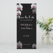 ピンクの蘭 Save the Date 発表 セーブザデート (スタンド正面)