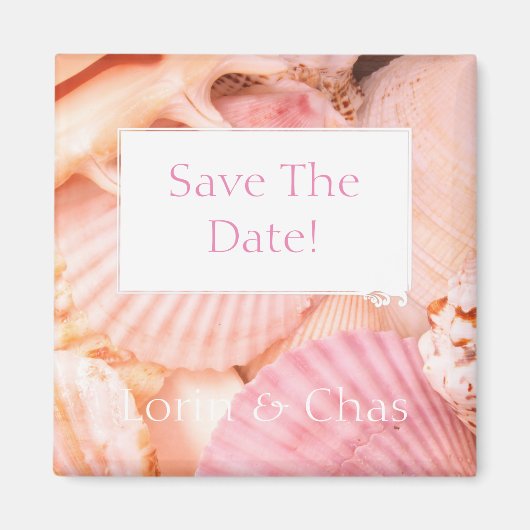 ピンクの貝殻 マグネット (正面)