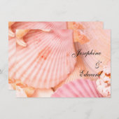 ピンクの貝 (正面/裏面)