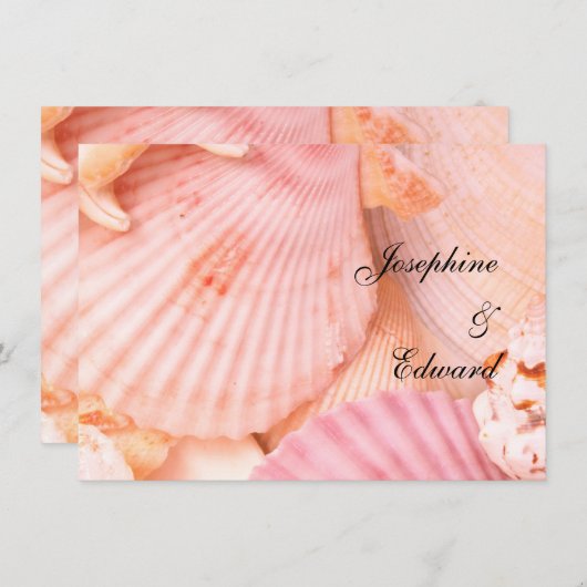 ピンクの貝 (正面/裏面)