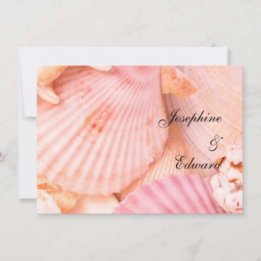 ピンクの貝 (正面)