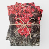 ピンクの赤い灰色のツタ葉の秋の抽象芸術写真 ラッピングペーパーシート (インサイチュ)