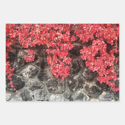 ピンクの赤い灰色のツタ葉の秋の抽象芸術写真 ラッピングペーパーシート (正面)