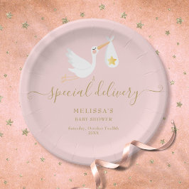 ピンクの赤ちゃん女の子シャワー特別配達ストークスター ペーパープレート