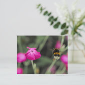ピンクの野の花とマルハナバチの夏の自然写真 ポストカード (スタンド正面)
