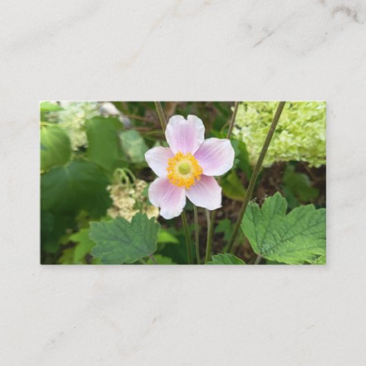 ピンクの野の花のビジネスカード | ボタニカル フローラル P 名刺 (正面)