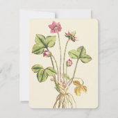 ピンクの野生の花の植物学的なディナー招待状 招待状 (裏面)