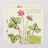 ピンクの野生の花の植物学的なディナー招待状 招待状 (正面/裏面)