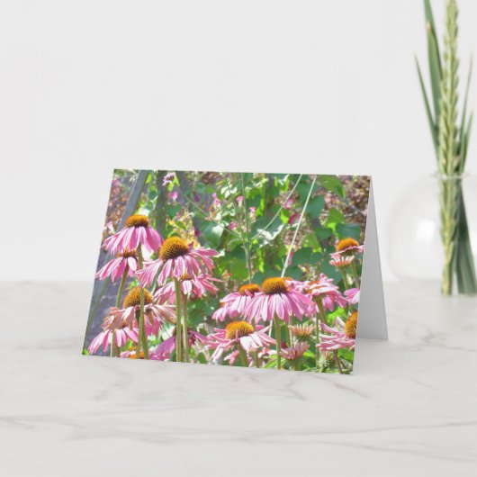 ピンクの野生の花 カード (正面)